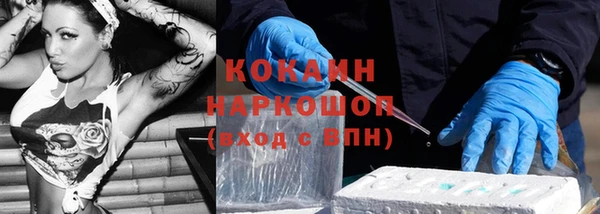 тгк Алзамай