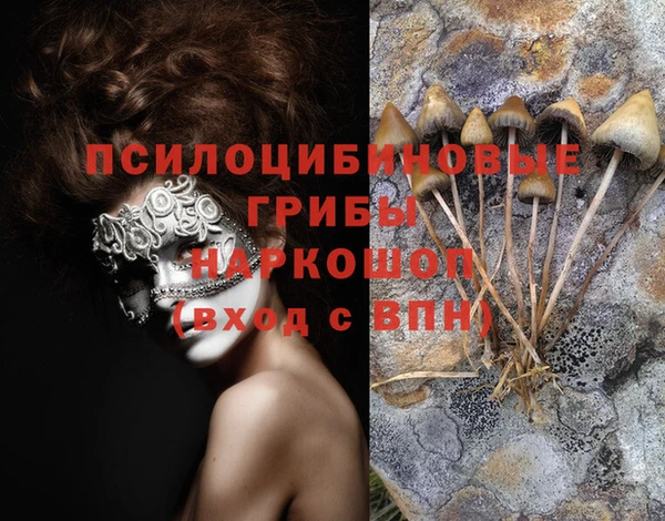 тгк Алзамай