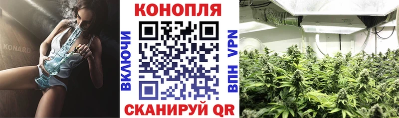 Бошки марихуана SATIVA & INDICA  Ивдель 